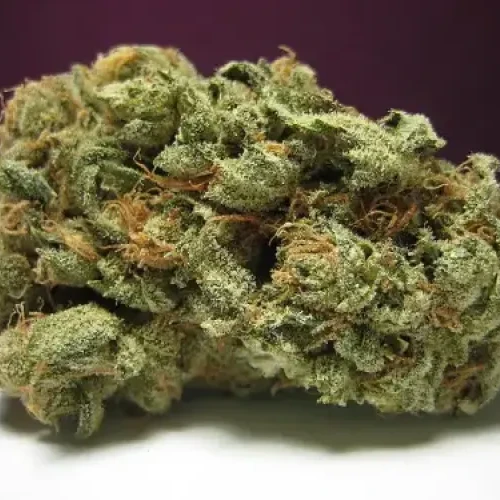 Cannabis skunk